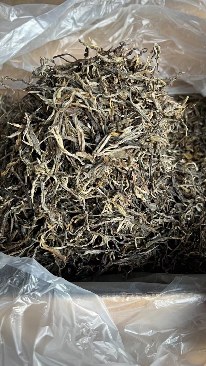 普洱茶批发市场的风云变幻