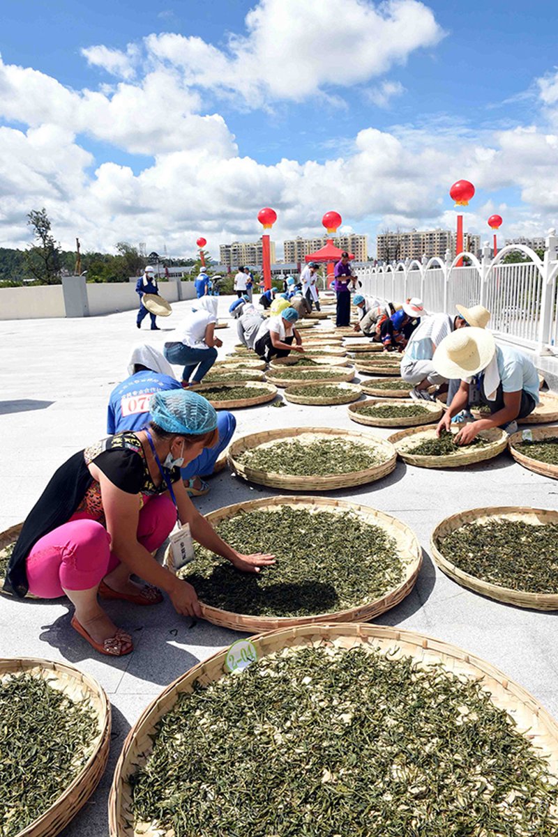 云南普洱茶的魅力